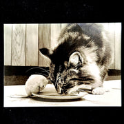 cat and mouse greeting card