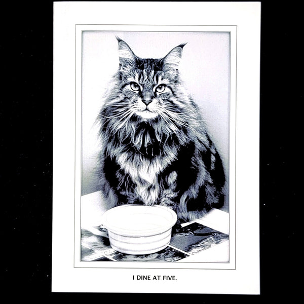 i dine at 5 greeting card