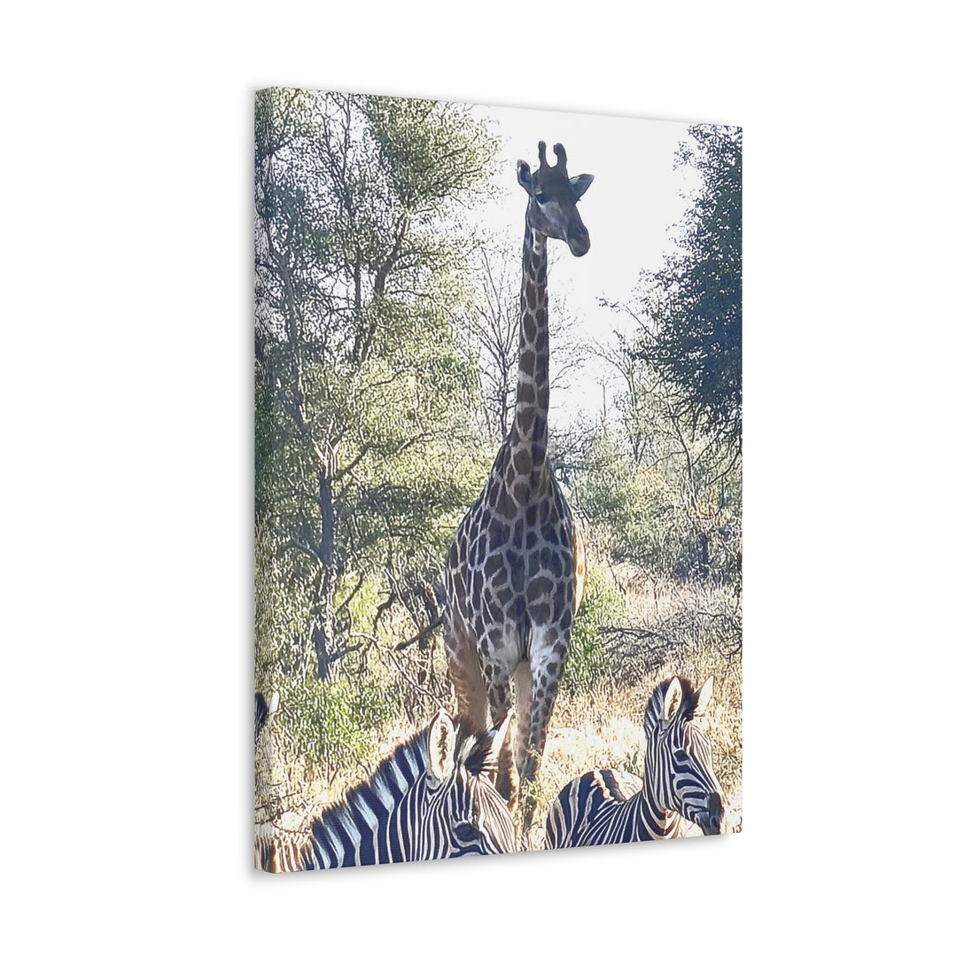 Giraffe and Zebras Wall Print