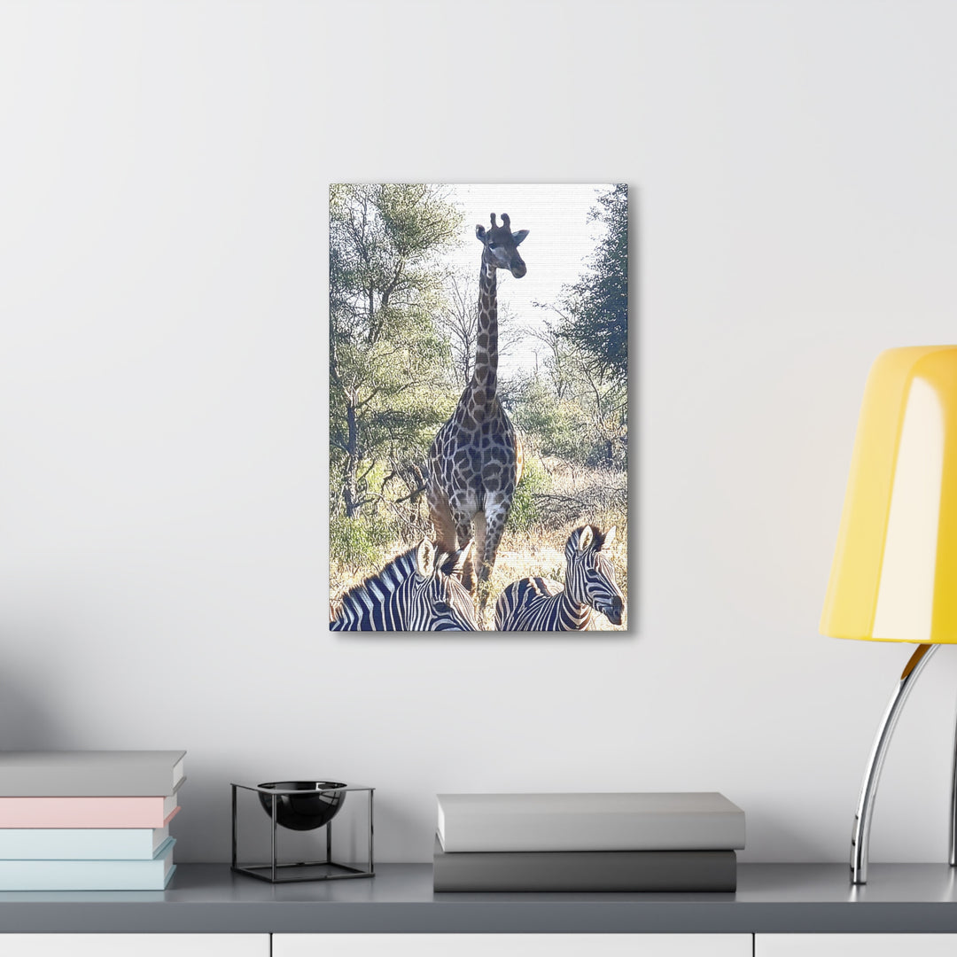 Giraffe and Zebras Wall Print