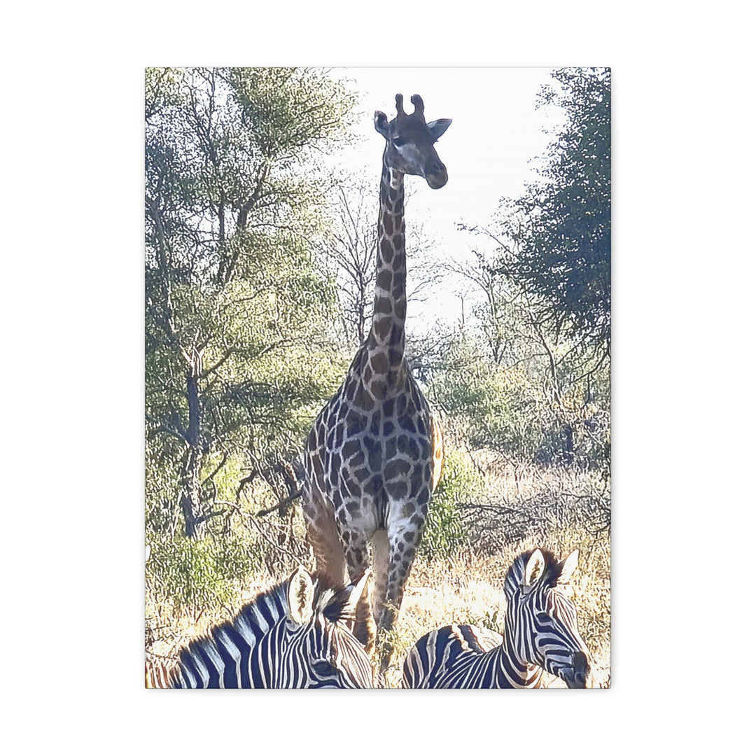 Giraffe and Zebras Wall Print