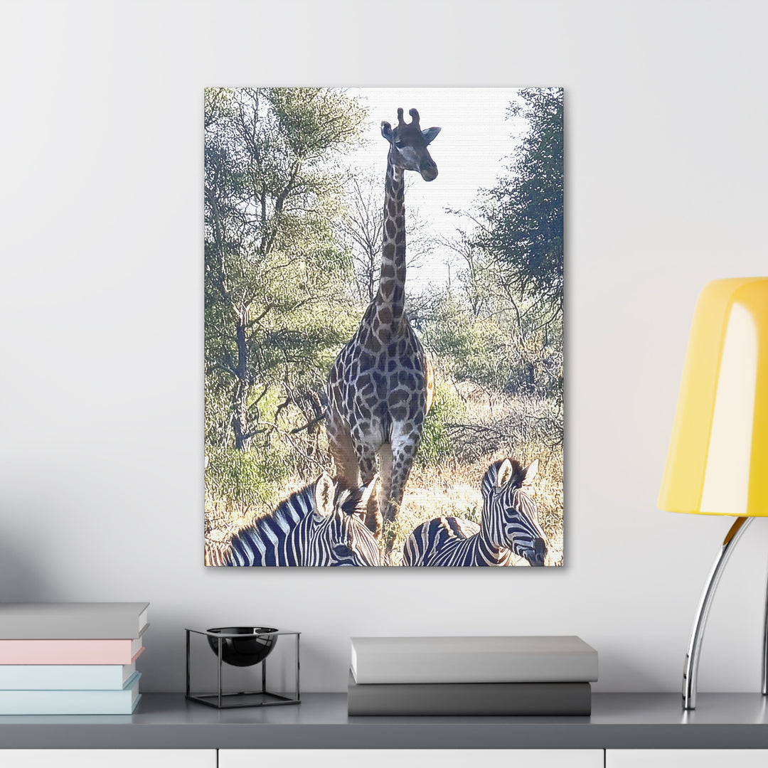 Giraffe and Zebras Wall Print