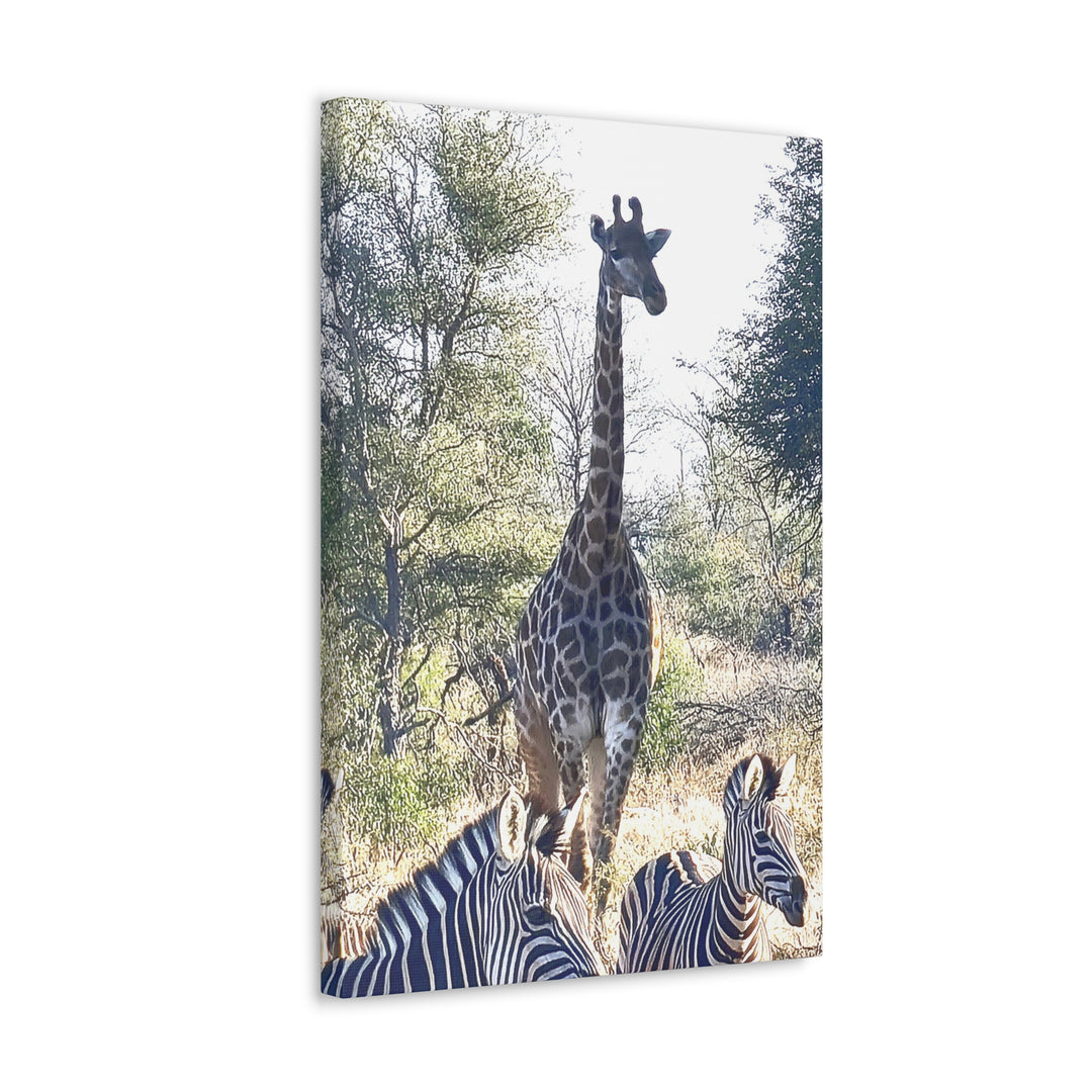 Giraffe and Zebras Wall Print