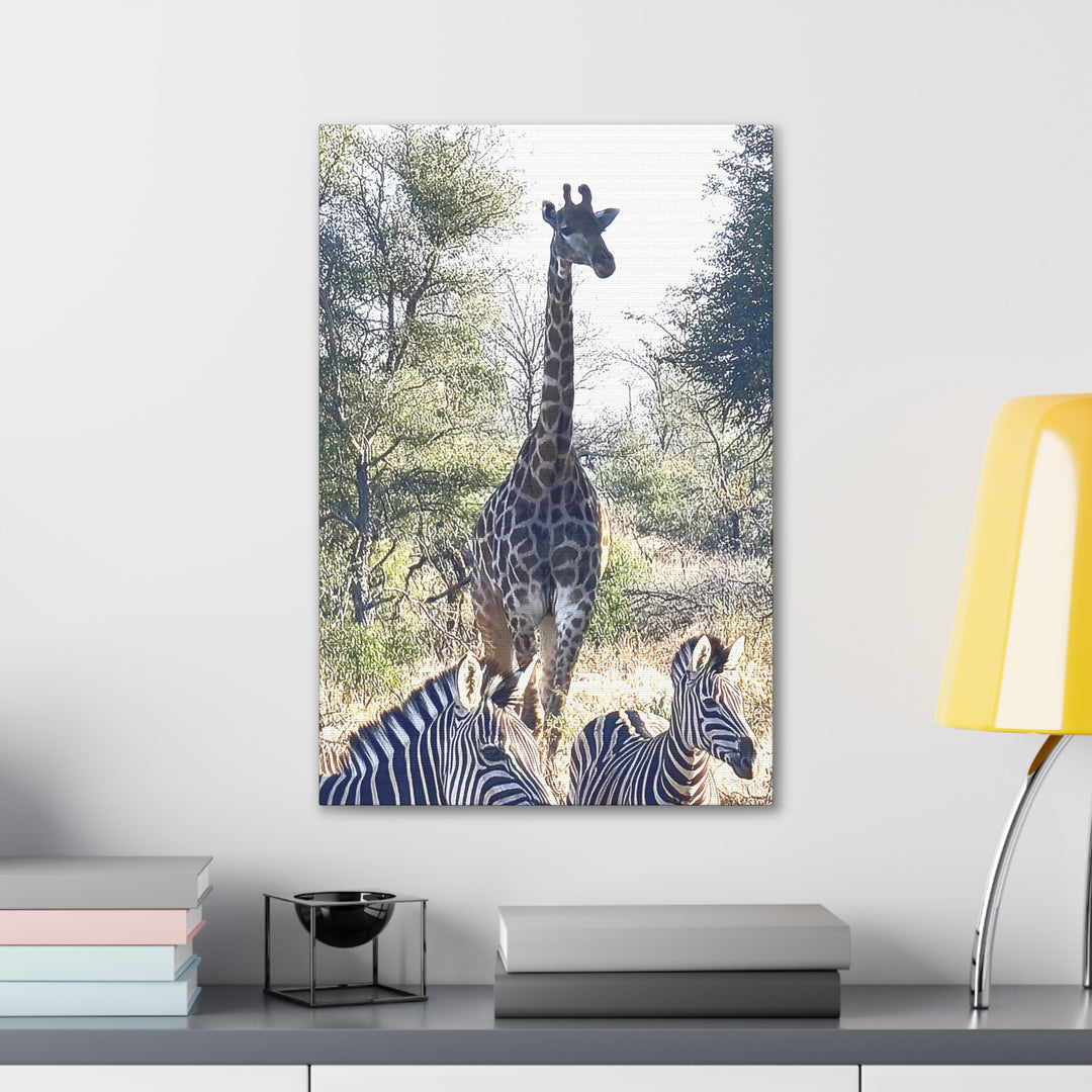 Giraffe and Zebras Wall Print