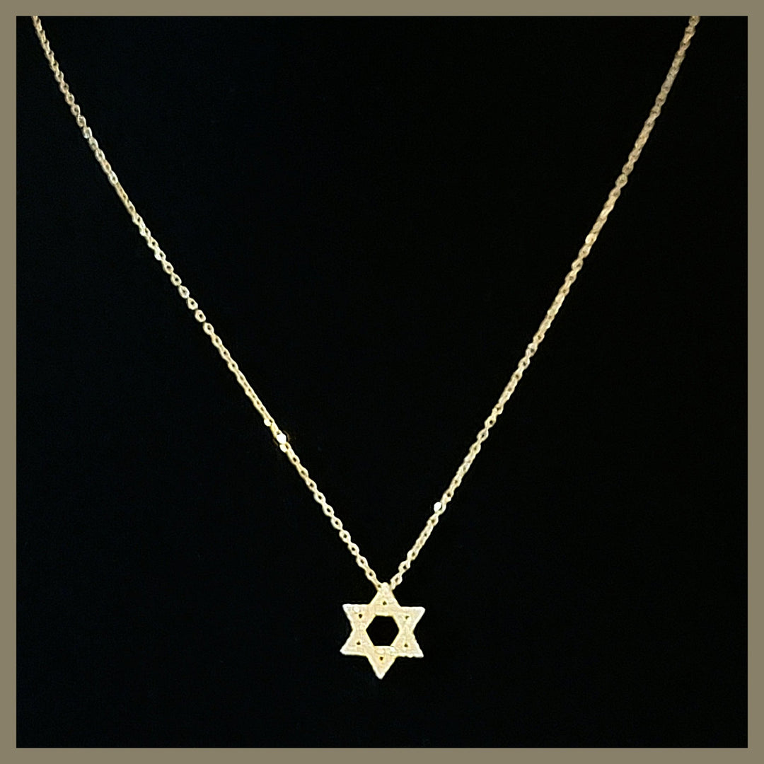 Pavé Star of David Necklace - Leila Jewels