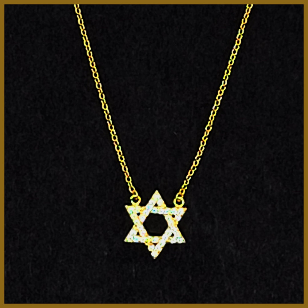 Sterling Pavé Star of David Necklace - Leila Jewels