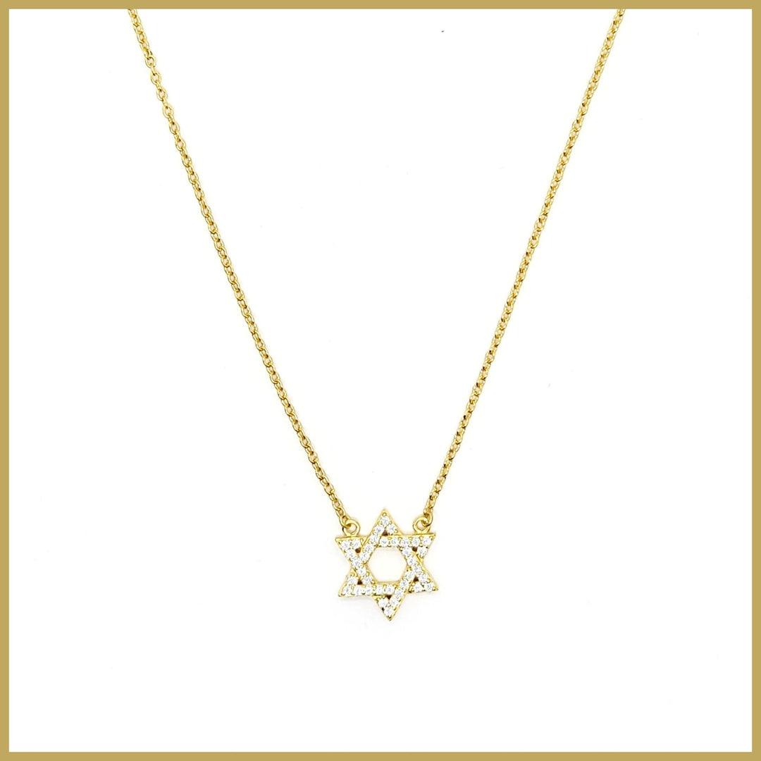 Sterling Pavé Star of David Necklace - Leila Jewels