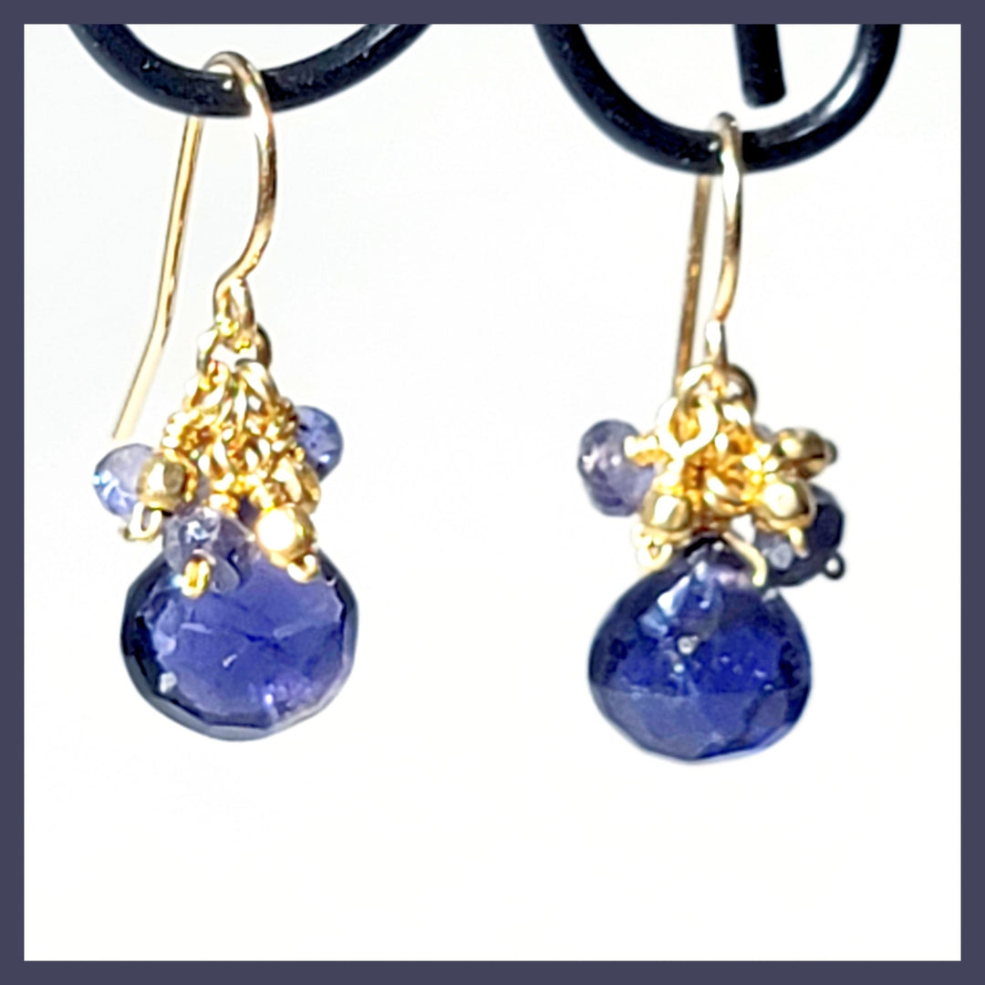 Iolite Briolette Earrings - Leila Jewels