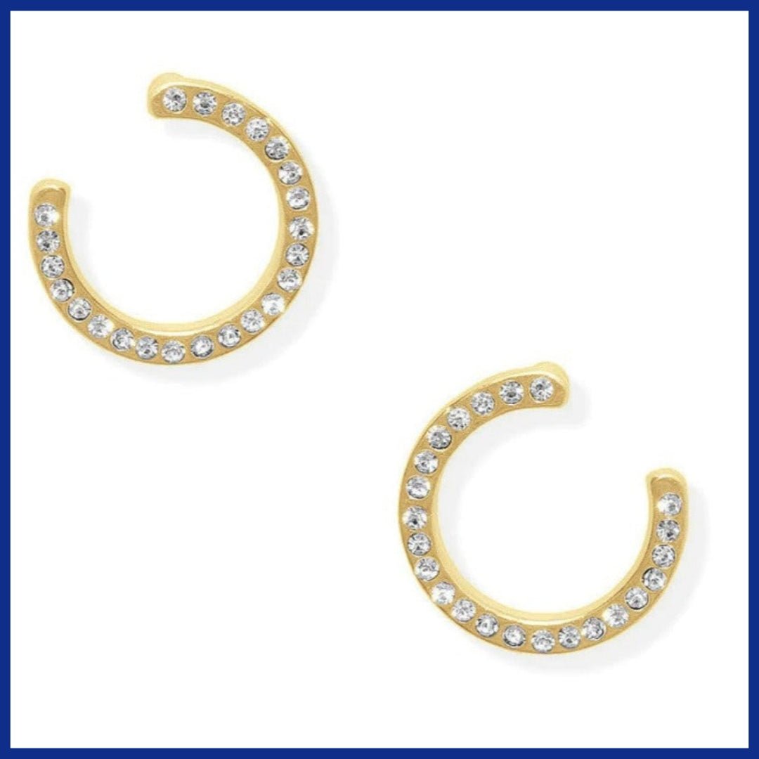 Pavé Circle Earrings - Leila Jewels