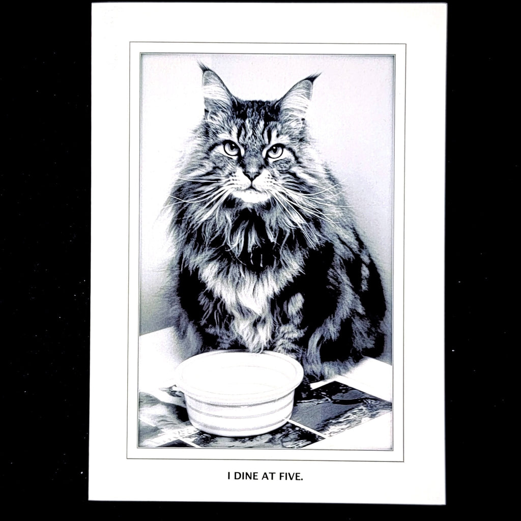 i dine at 5 greeting card